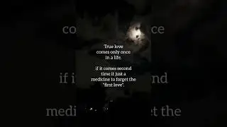 💕 Quotes about Love | Deep Love Quotes