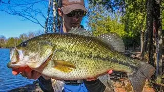 MONSTER BASS Fishing in WISCONSIN! (HUGE!)