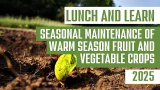 Lunch and Learn: Seasonal Maintenance of Warm Season Fruit and Vegetable Crops