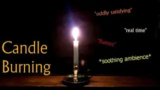 [ASMR Ambience] Candle Burning all the way down 🕯️ *no talking* soft music, writing and glass sounds