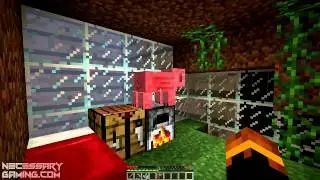 Ant Farm Survival with iMufHD Part 1 - Doing the Basics