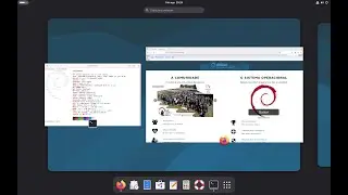 Install Google Chrome Canary from Software Manager on Linux Debian