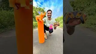 Rc Elphant ,Dog and Remote Yoga Met 😀