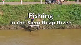 Fishing in the Siem Reap River
