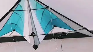 Delta stunt kite  with dual line