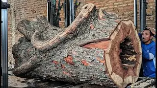 DANGEROUS MISTAKE!! What This Woodworker Did Was Truly FATAL at the Sawmill