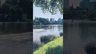 Rowing in Yarra River
