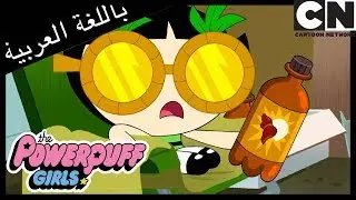 فتيات القوة | في منزل الكلب | كرتون نتورك