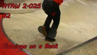 Flamingo on a bank (ATAW 2.025 Week 2)