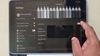 how to turn off colour filter on ipad | black and white mode off