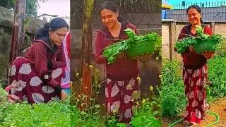 আমার বাবার বাড়ির বাগান যেখানে সব রকমের সবজি চাষ হয় কি করে হয় সেটা শুনে নিন একবার
