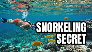 Snorkeling in Malindi Marine Park, Kenya's Best Kept Secret