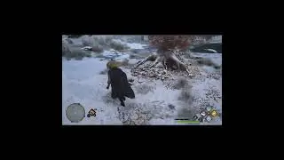 Hogwarts Legacy - Where to find Nifflers near Hogsmeade #shorts