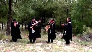 Wilbert Urquieta y el Grupo Chayanta - Tribunal de amores