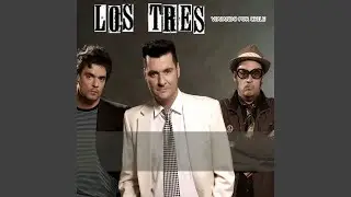 Hojas de Té