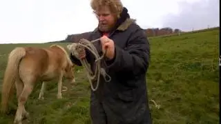 Grundlagen Join Up - Anleitung Treibpunkte
