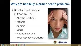 Webinar: Bed Bugs: What Can Families Do? How Can Home Visitors Help?