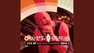 Bad Dog (Live)