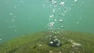 Tranquil Underwater Hot Spring ASMR