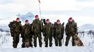 Hundetroppen i Militærpolitikompaniet - K9 MP 1307