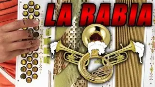 La rabia acordeon