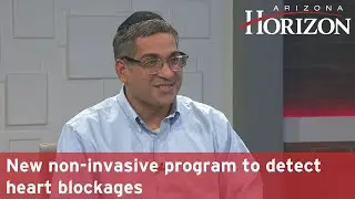 New non-invasive program to detect heart blockages