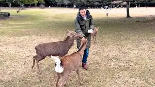 Visiting My Home Country Japan with My Finnish Girlfriend