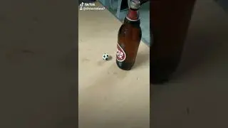 Super Bock vs Sagres mini ( meme do caix&atilde;o)
