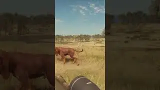 How To Hunt A DIAMOND Feral Goat | TheHunter: Call Of The Wild