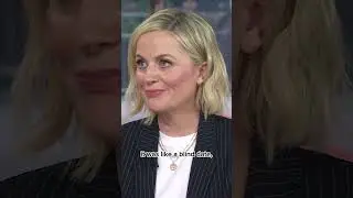 Amy Pohler and Tina Fey were set up on a blind friend date