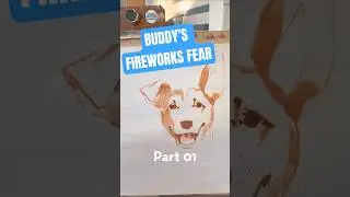 Buddy&rsquo;s Story: Fireworks Stress & How to Help Your Dog This July 4th (Part 1)