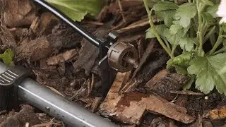 How to Install an End-of-Line Micro Dripper Into an Irrigation System
