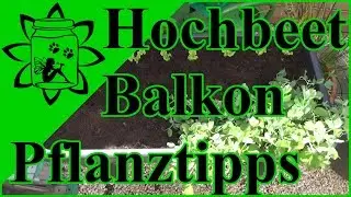 Hochbeet f&uuml;r Balkon & Terrasse | Gem&uuml;se anbauen | Pflanztipps | Erbsen und co auf dem Balkon