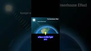 Climate Change Explained: The Greenhouse Effect and Human Impact Uncovered!