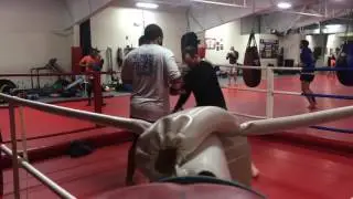 GCOM Muay thai (2016) montage