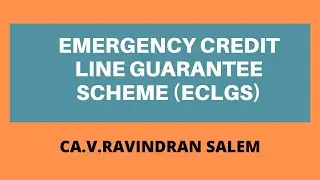 EMERGENCY CREDIT LINE GUARANTEE SCHEME ISSUED BY CENTRAL GOVERNMENT