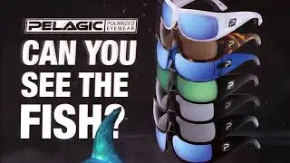 PELAGIC HIGH PERFORMANCE OFFSHORE GEAR CAN YOU SEE THE FISH? GET HOOKED ON THE PALM BEACHES