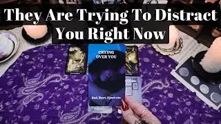 They Are Trying To Distract You Right Now DON'T FALL FOR IT! They Know You're About to Win