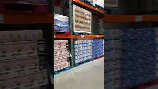 Costco during opening🇨🇦🇨🇦🇨🇦 #torontowinter #snow