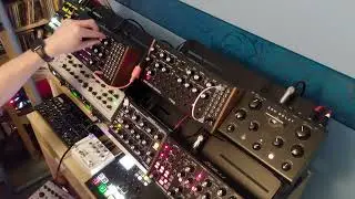 TeknoBaby | Enter The Labyrinth | Moog Labyrinth | Subharmonicon
