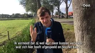 Waterbuffel te water bij Ossenzijl | RTV Oost