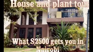 HOUSE/PLANT TOUR: #livinginKenya #gratitude #beautifulhousesandgardensKenya