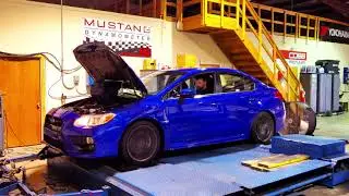 Josh's 2016 WRX ProTune.....292WHP!