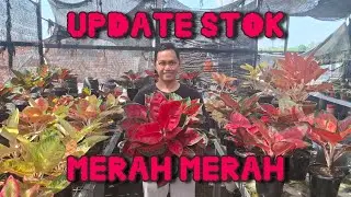LANGSUNG TUBRUK STOK TERBARU !!! YANG LAGI DI CARI ADA DISINI