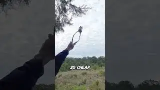 Genius Way to Restore Forests