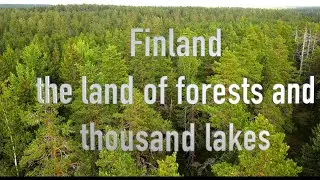 Flying drone  over Finnish forest