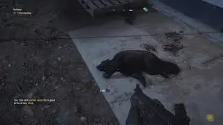 Far Cry 5 Part 42 Getaway Prepper Stash Location Walkthrough