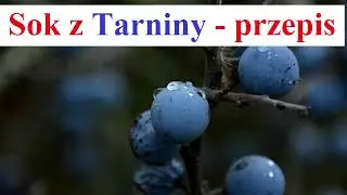 Sok z TARNINY - Przepis, jak Przygotować