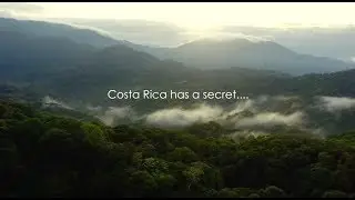 Ojochal, Costa Rica | Above the Crowd