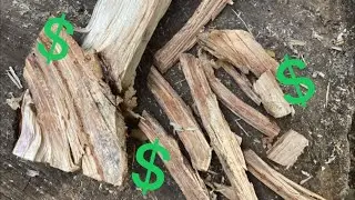 FATWOOD is it profitable?